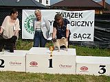 Wystawy 2012